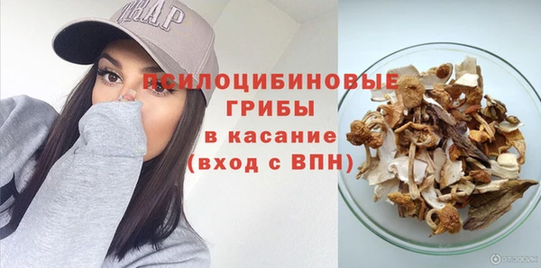 мескалин Арсеньев
