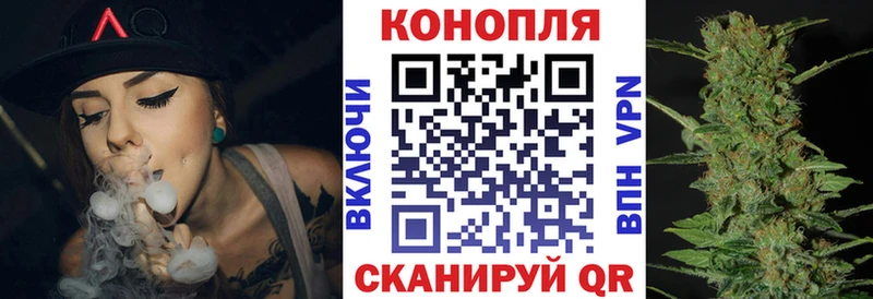 Каннабис White Widow  где купить наркоту  Судак 